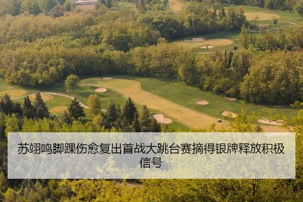 su-yi-ming-jiao-huai-shang-yu-fu-chu-shou-zhan-da-tiao-tai-sai-zhai-de-yin-pai-shi-fang-ji-ji-xin-hao-2-518.jpg